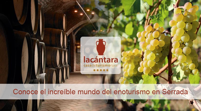 enoturismo ruta del vino de rueda